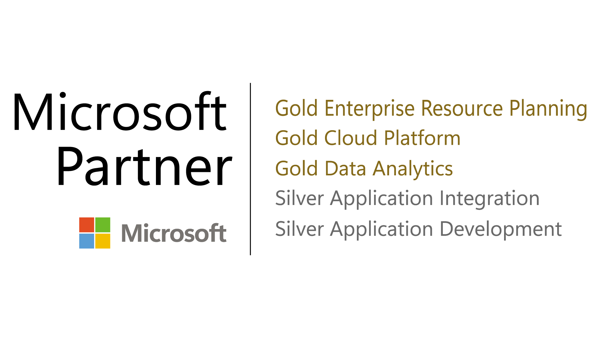 microsoft-partner-badge3