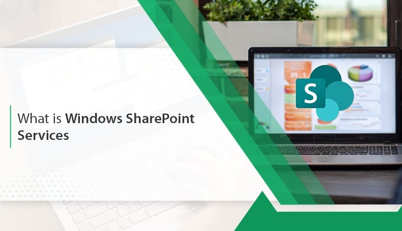 what is windows share points services